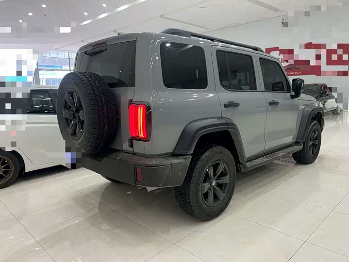 2025 Tank 300