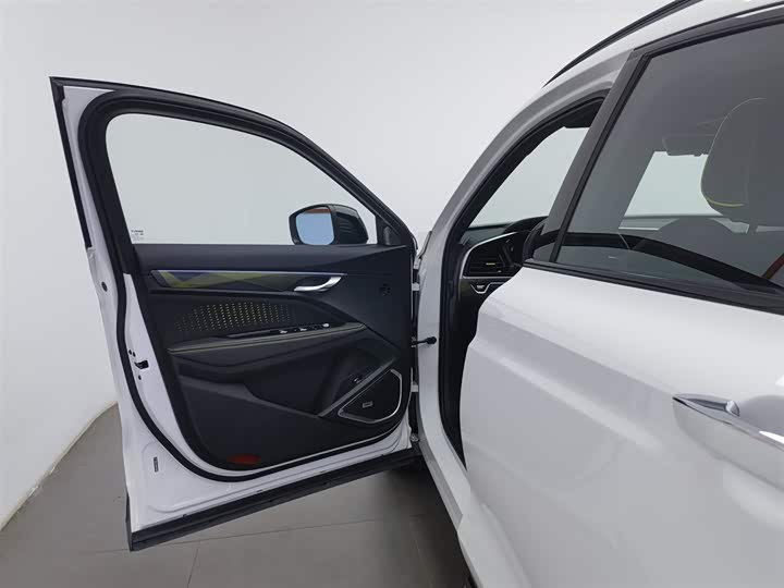 Geely Tugella S 2021 2021款 2.0TD 自动两驱闪电版