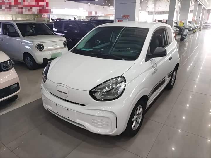Roewe Clever 2022 2022款 311km元气啵啵版