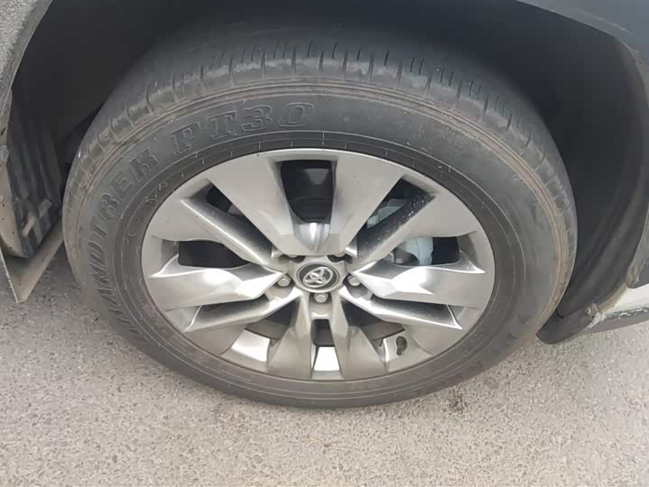 Toyota Wildlander 2024 2024款 2.0L CVT两驱领先版