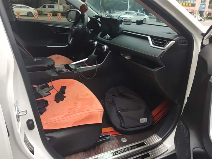Toyota Wildlander 2024 2024款 2.0L CVT两驱领先版