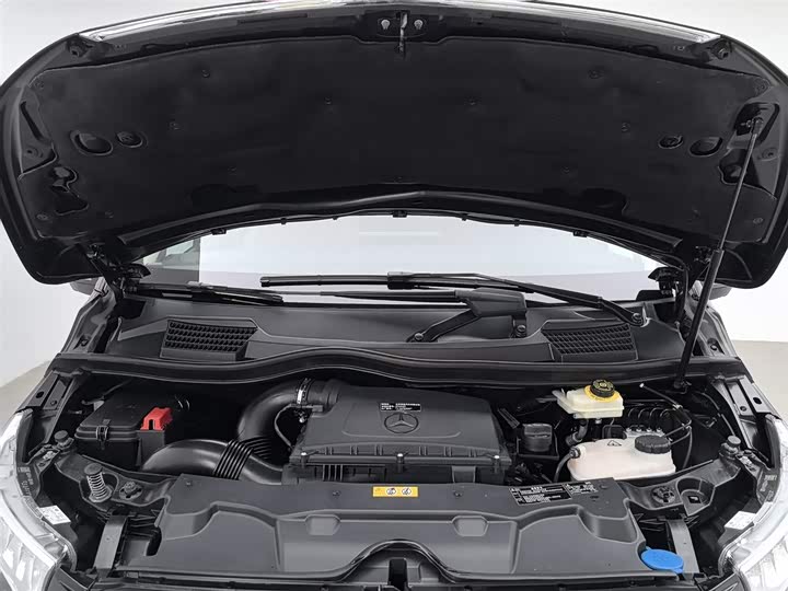 Mercedes-Benz V-Class 2021 2021款 V 260 L 长轴距豪华版
