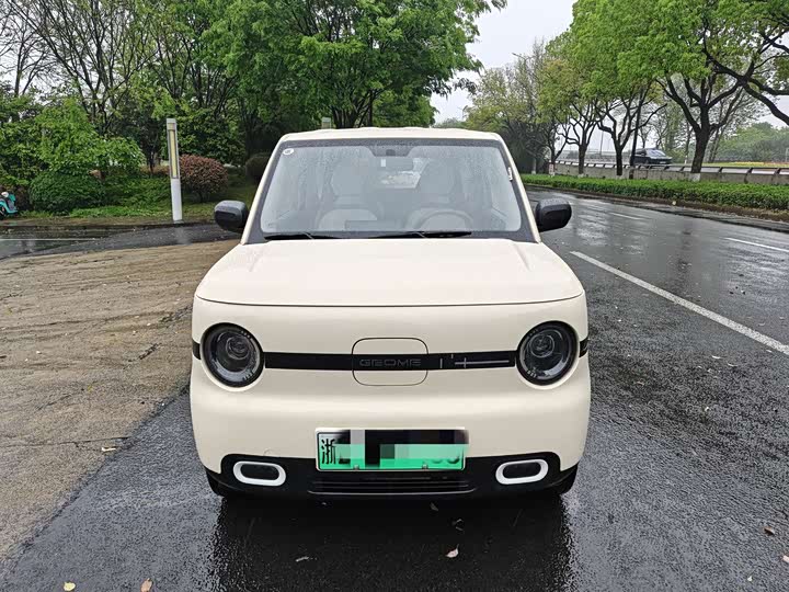 Geely Galaxy Panda Mini 2025 2025款 熊猫mini 210km 元气熊