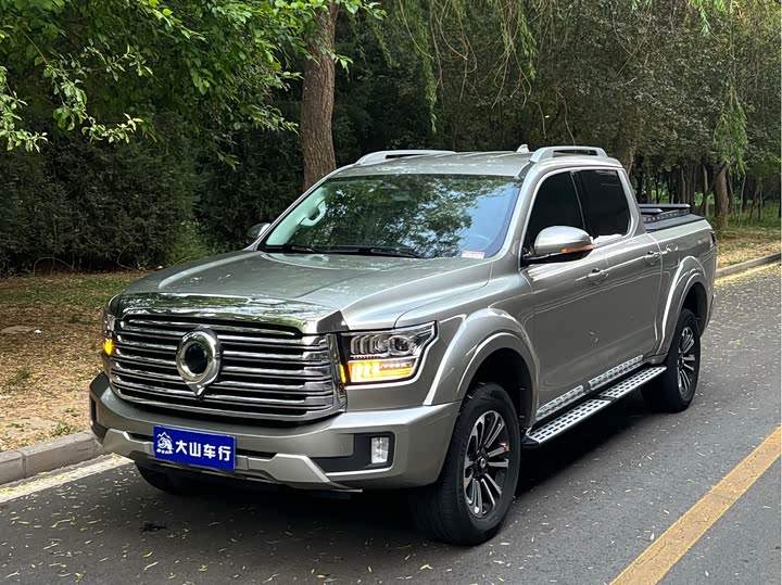 2023 Great Wall Shanhai Poer