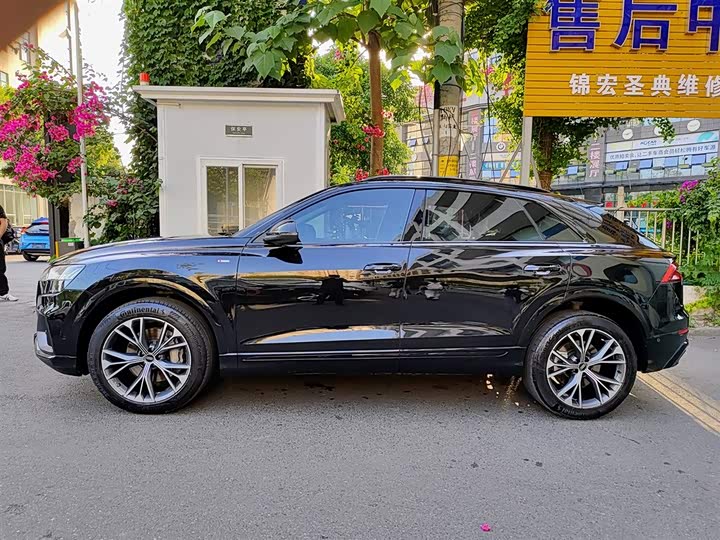 Audi Q8 2022 2022款 55 TFSI 豪华动感型