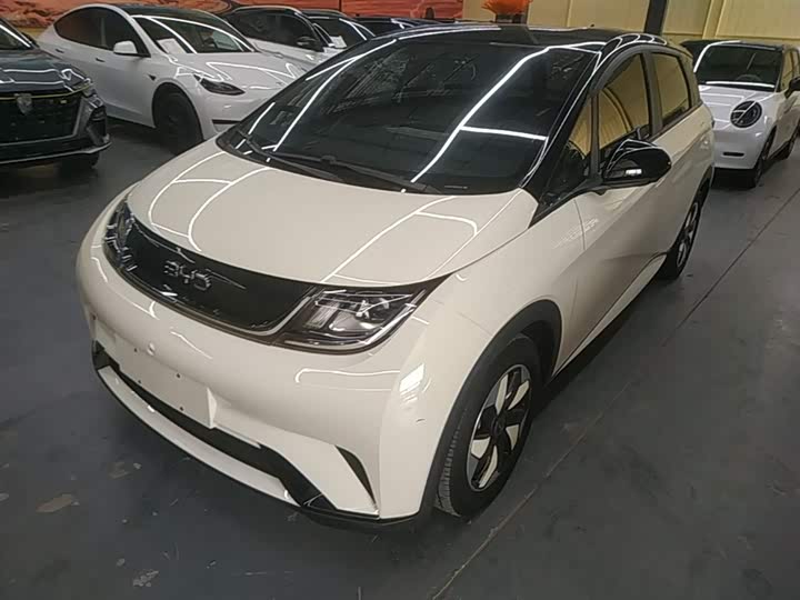 2025 BYD Dolphin