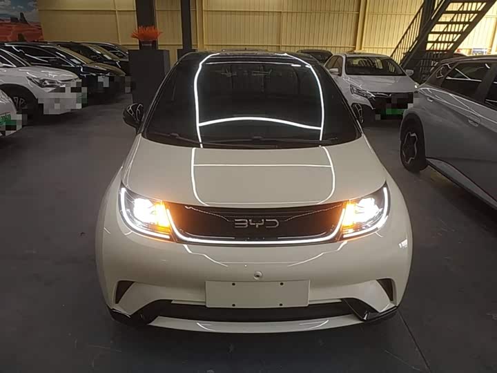 2025 BYD Dolphin