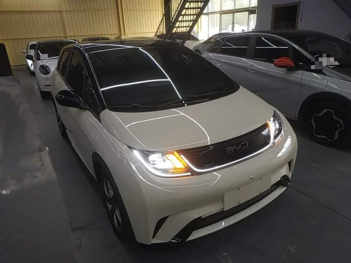 2025 BYD Dolphin