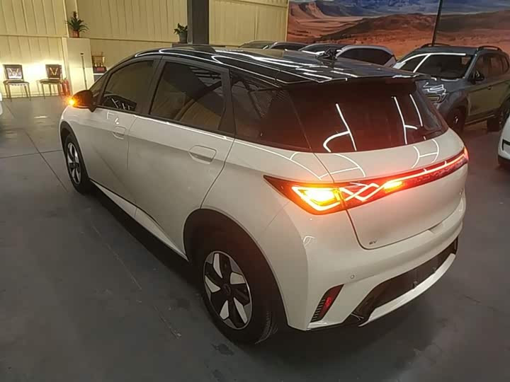 2025 BYD Dolphin