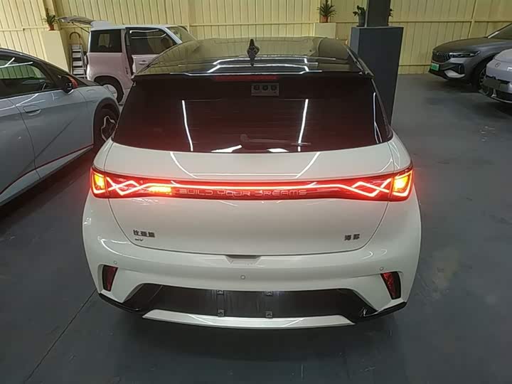 BYD Dolphin 2025 2025款 420km 自由版