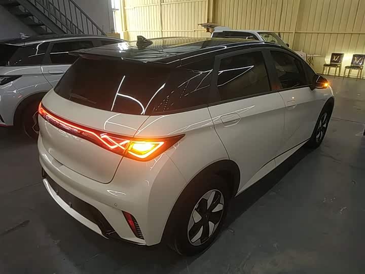 BYD Dolphin 2025 2025款 420km 自由版