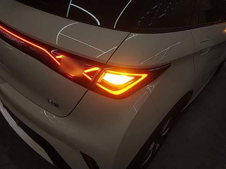 BYD Dolphin 2025 2025款 420km 自由版