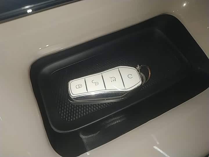BYD Dolphin 2025 2025款 420km 自由版