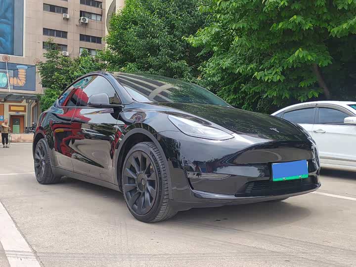 Tesla Model Y 2022 2022款 长续航全轮驱动版