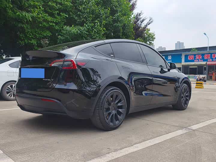 Tesla Model Y 2022 2022款 长续航全轮驱动版