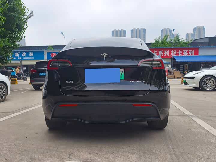 Tesla Model Y 2022 2022款 长续航全轮驱动版
