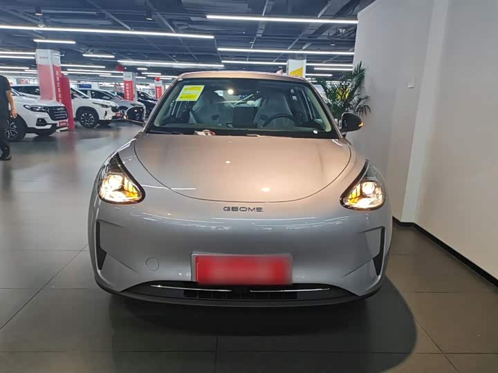 Geely Galaxy Geome 2026 2026款 310km 青春版