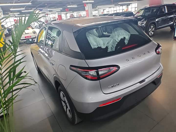 Geely Galaxy Geome 2026 2026款 310km 青春版