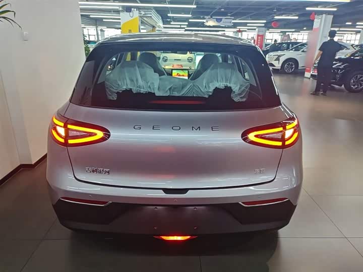 Geely Galaxy Geome 2026 2026款 310km 青春版