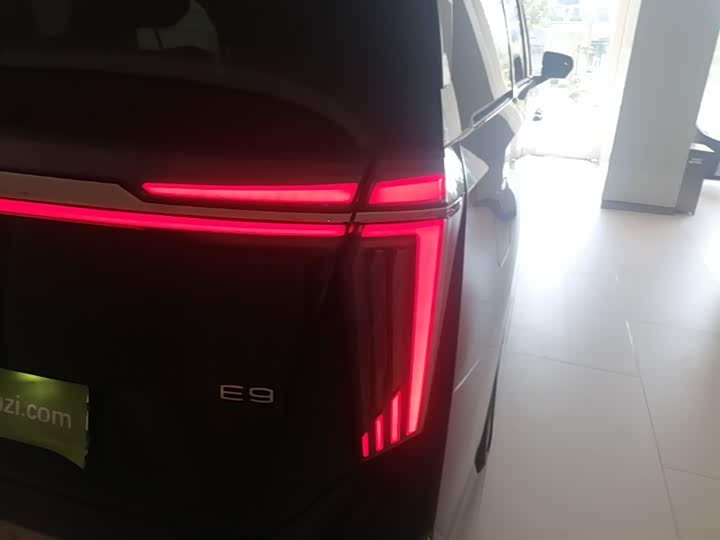 GAC Trumpchi E9 2024 2024款 E9 尊享版