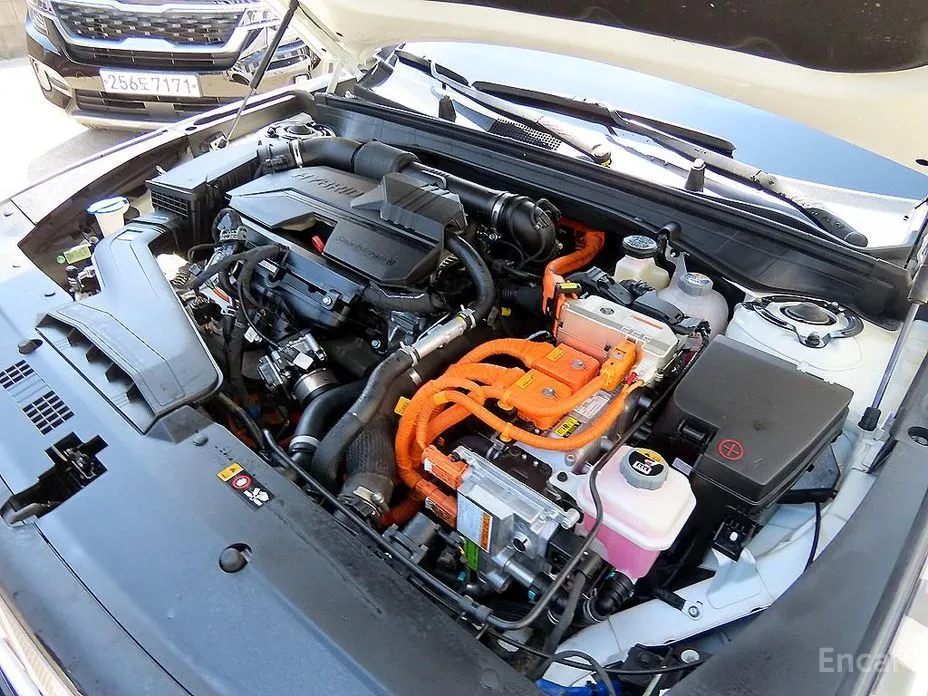 Kia K8 2024 Noblesse