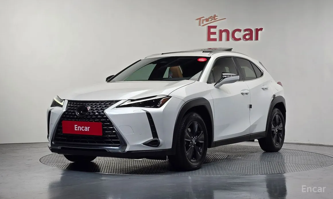 Lexus UX 2024 2.0 2WD