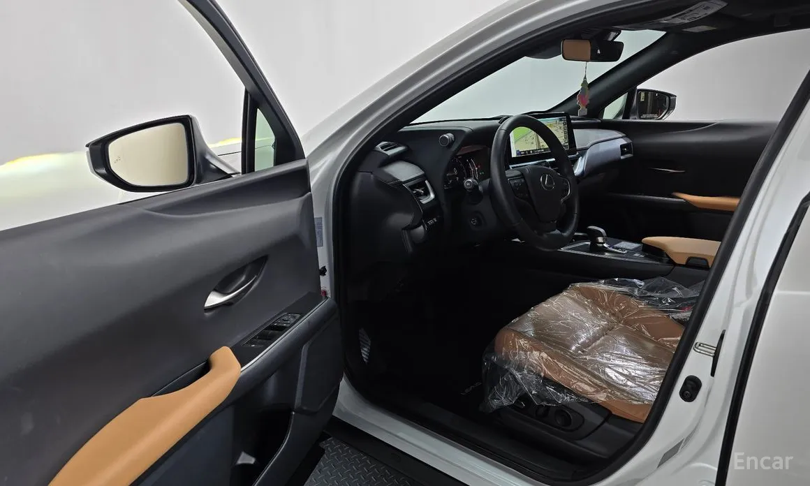 Lexus UX 2024 2.0 2WD