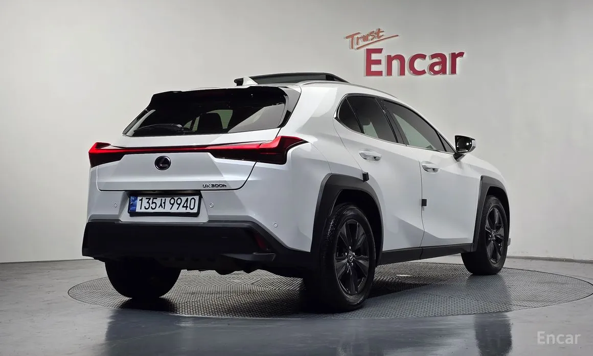 Lexus UX 2024 2.0 2WD