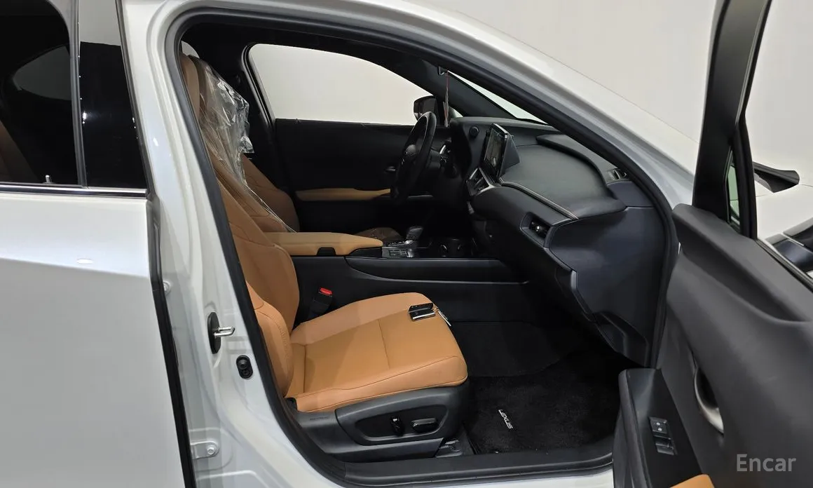 Lexus UX 2024 2.0 2WD