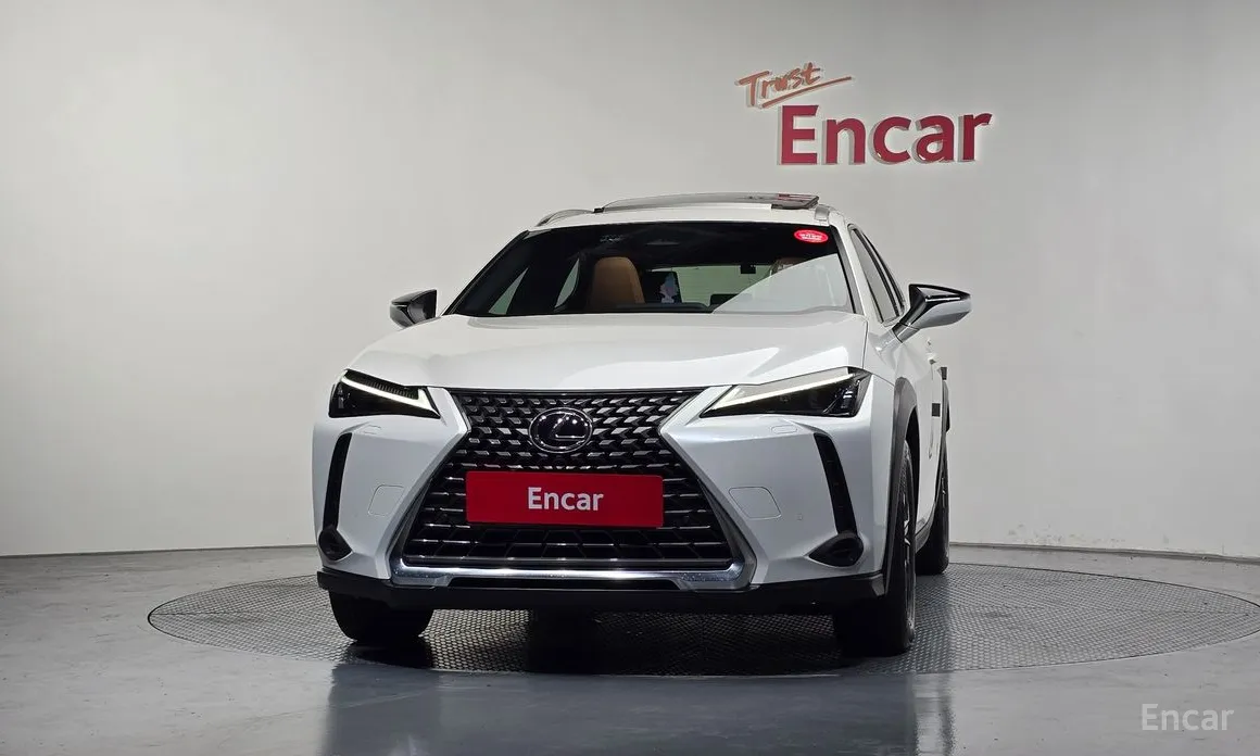 Lexus UX 2024 2.0 2WD