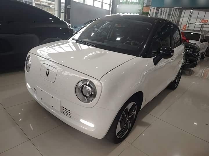 Ora Black Cat 2019 2019款 351km 灵智版