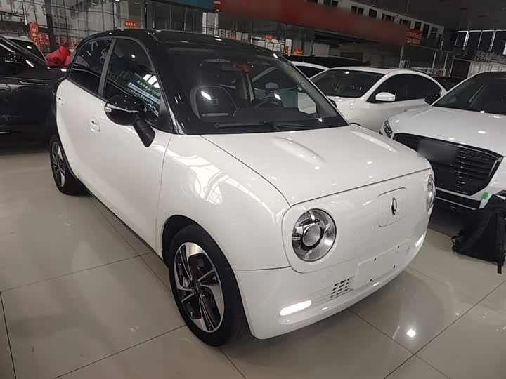 Ora Black Cat 2019 2019款 351km 灵智版