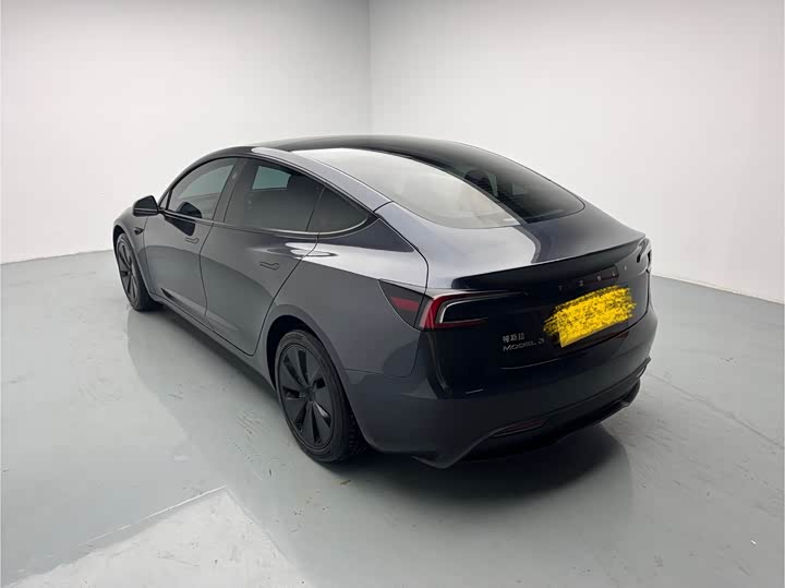 Tesla Model 3 2025 2025款 后轮驱动版