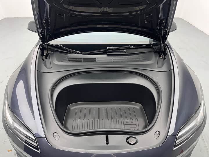Tesla Model 3 2025 2025款 后轮驱动版