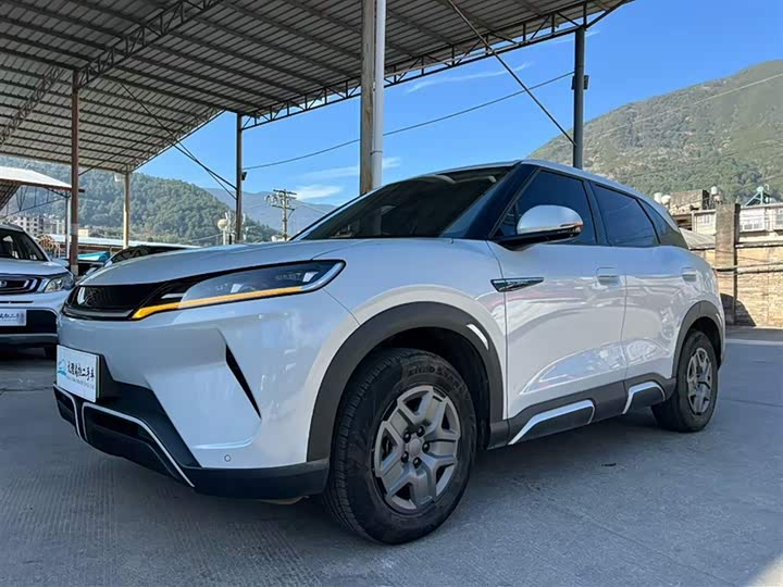 BYD Yuan Up 2024 2024款 401KM 活力版