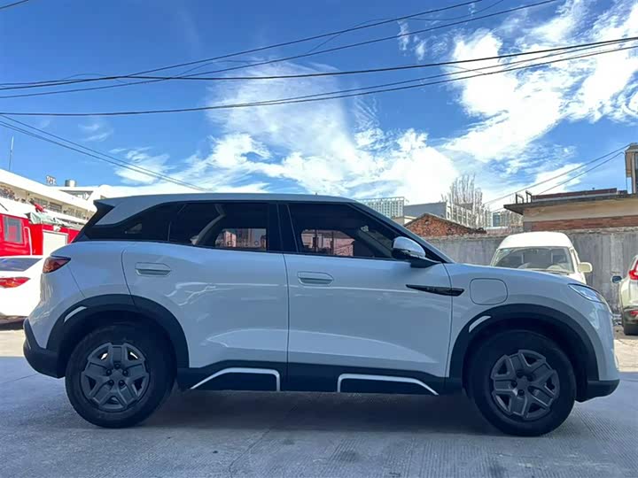 BYD Yuan Up 2024 2024款 401KM 活力版