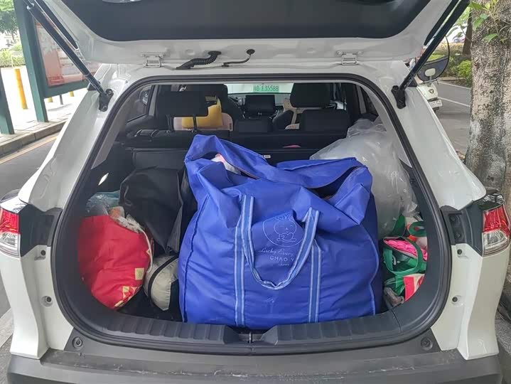 Toyota Corolla Cross 2022 2022款 2.0L 精英版