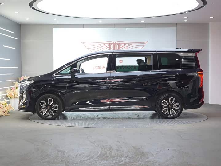Hongqi HQ9 2023 2023款 2.0T 智联旗享版