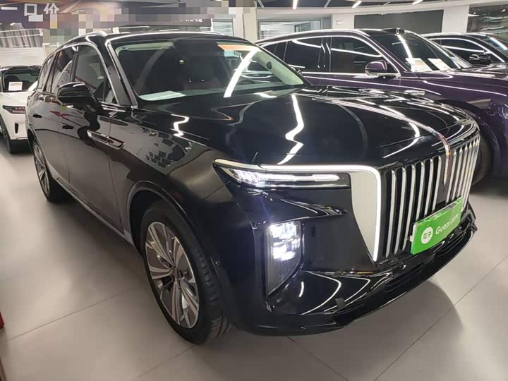 Hongqi E-HS9 2022 2022款 690km 旗享版 六座