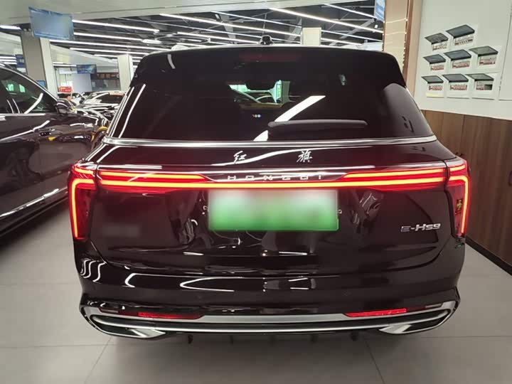 Hongqi E-HS9 2022 2022款 690km 旗享版 六座
