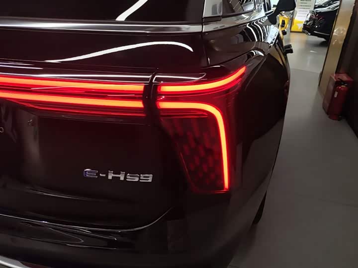 Hongqi E-HS9 2022 2022款 690km 旗享版 六座