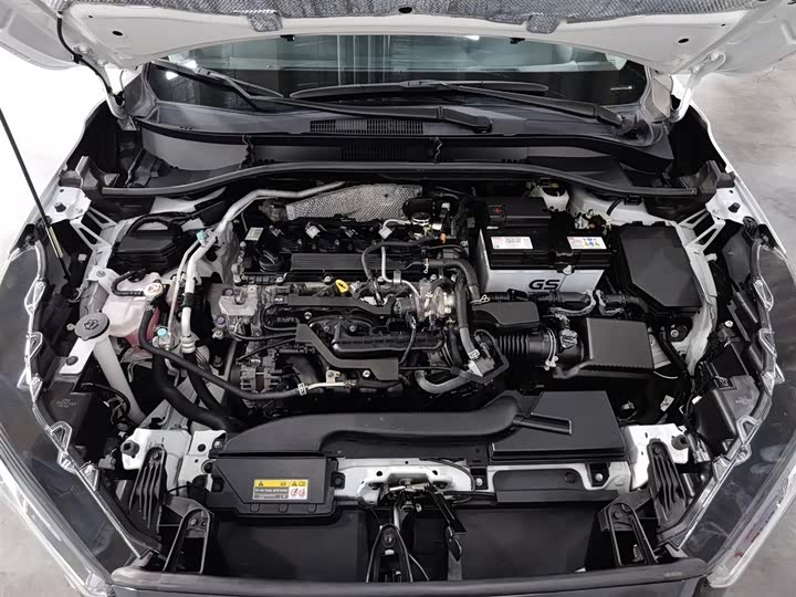 Toyota Corolla Cross 2023 2023款 2.0L 先锋版
