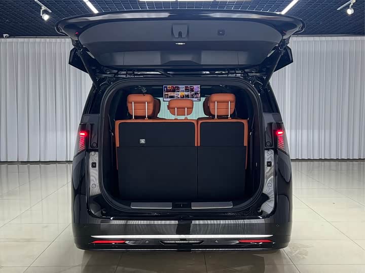 Фото 6 - Buick OMPV