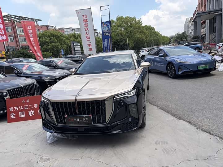 Photo 1 - Hongqi H9