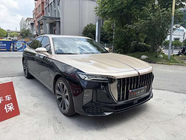 Photo 3 - Hongqi H9