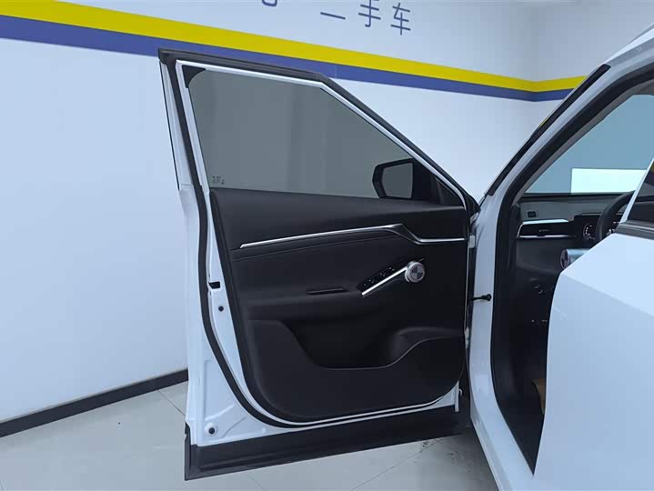 GAC Trumpchi Emkoo 2022 2022款 2.0ATK 双子星Pro版