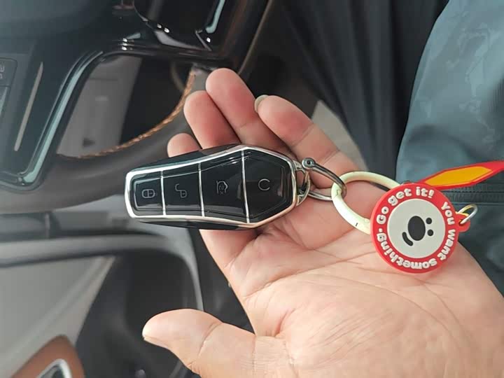 BYD Song Pro Hybrid 2022 2022款 DM-i 51km 尊贵型