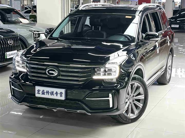 GAC Trumpchi GS8 2020 2020款 390T 两驱豪华智联纪念版（七座）