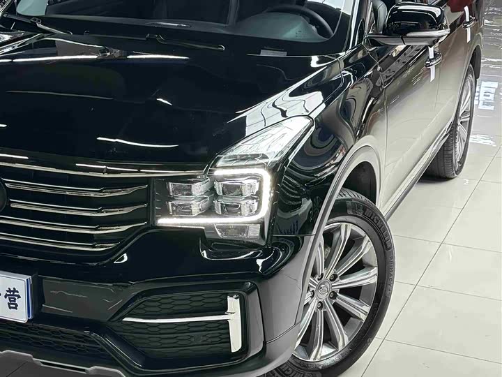 GAC Trumpchi GS8 2020 2020款 390T 两驱豪华智联纪念版（七座）