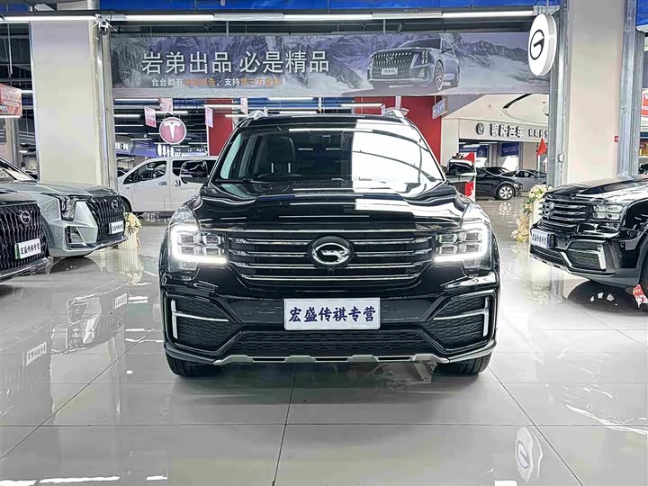 GAC Trumpchi GS8 2020 2020款 390T 两驱豪华智联纪念版（七座）